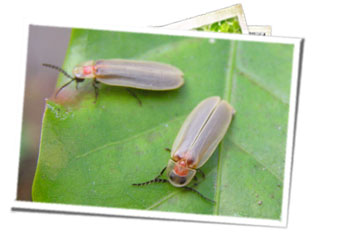 pic07-7 pic07-7