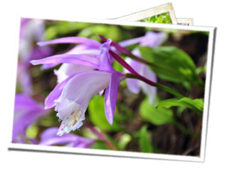 pic07-3 pic07-3