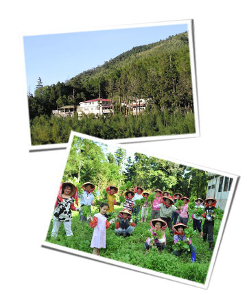 pic03 pic03