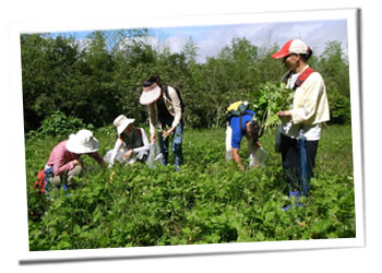 pic05 pic05
