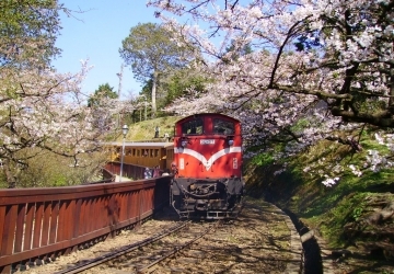 阿里山森林遊樂區